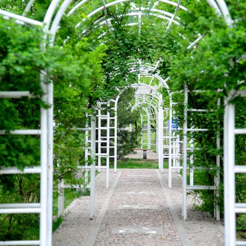 济南市中区哪个公园溜娃