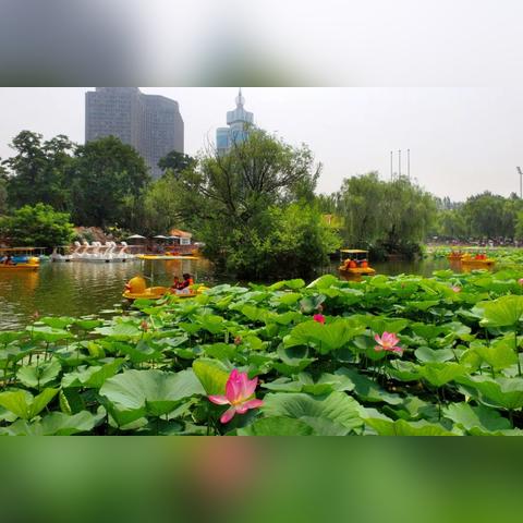 西安市劳动公园里怎么样