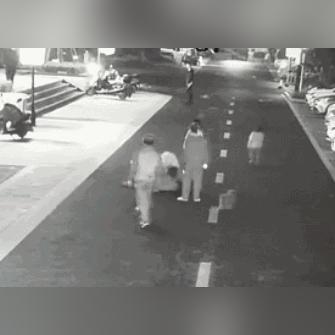 济南市允许养什么狗