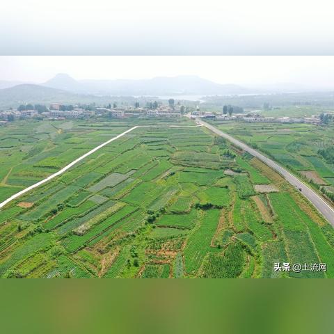 临沂市罗庄区电厂路小学的长尾关键词有哪些