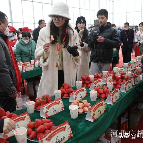 保定市免费游乐场在哪里