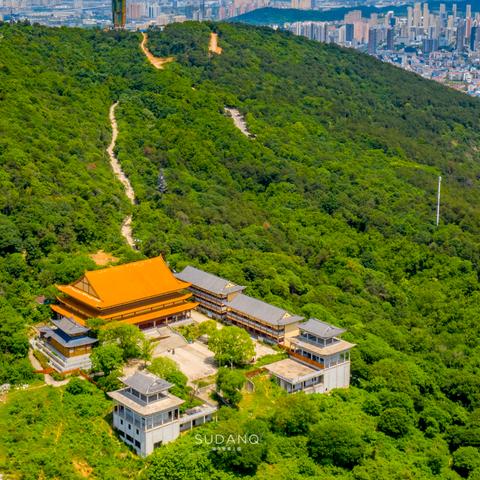 武汉市哪个地方