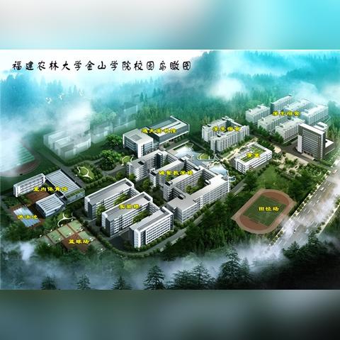 福建省五所顶尖大学？