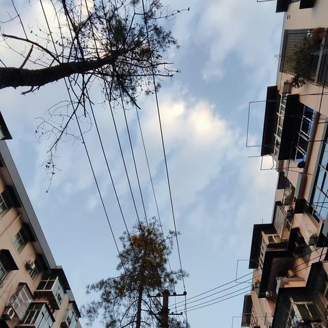 武汉市水果湖是哪个区的