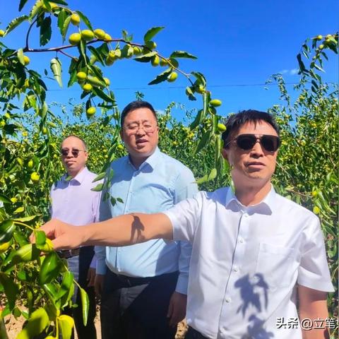 石家庄市源众的长尾关键词有哪些