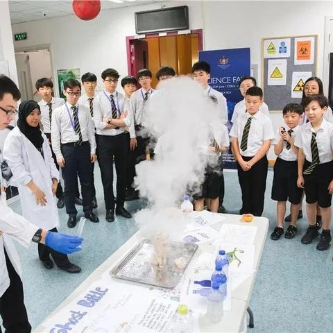 天津进口培养箱哪个好点