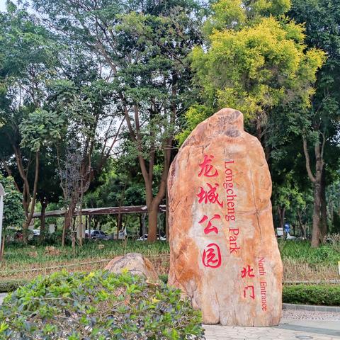 深圳市公园里有什么花