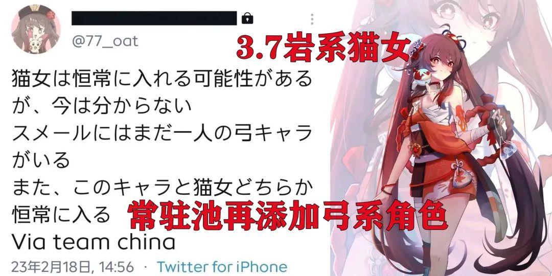 猫女原神怎么给队友加血（原神盾角色排名）