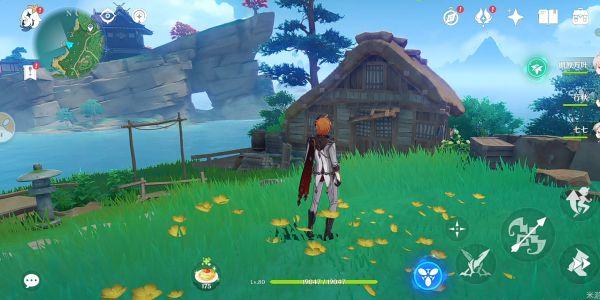 蒲公英怎么捡原神（原神琼玑野的塔能直接解锁吗）