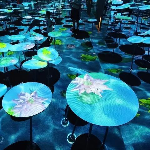 广州市幻境体验馆电话多少