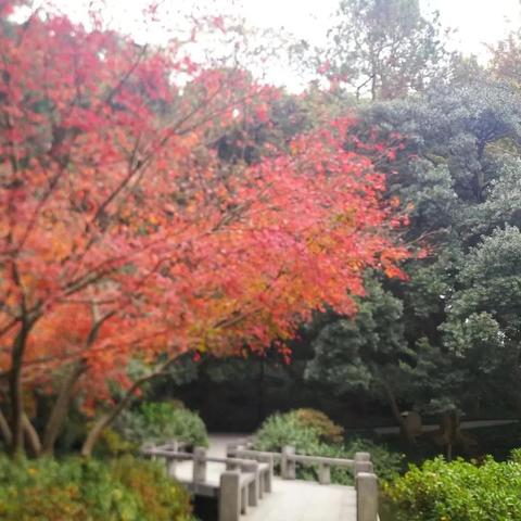 杭州市植物园工作怎么样
