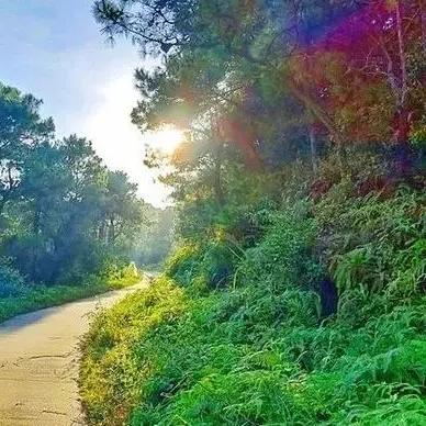 厦门外地养老的相关长尾关键词有哪些