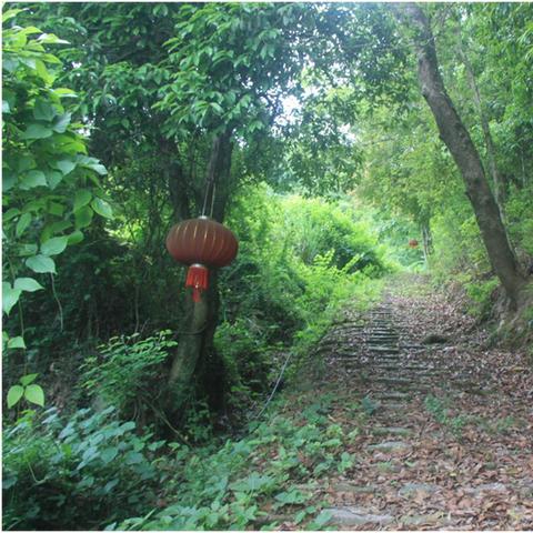 温州市新桥镇房价高吗的长尾关键词有什么