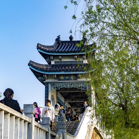 无锡市园林卡去哪里办理