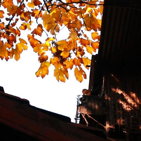 武汉市旧改小区改些什么