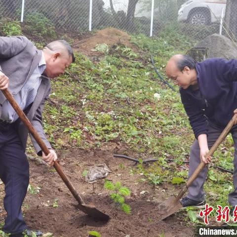 桂林园林树种数量相关长尾关键词有哪些