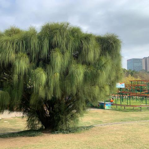 南宁市到万象城怎么走