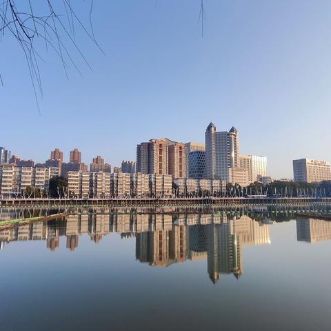 武汉市特产什么水果