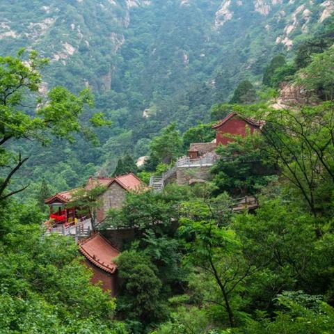 济南市黑龙潭在哪里