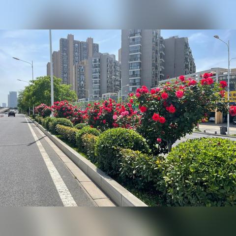 武汉市哪个区有特色