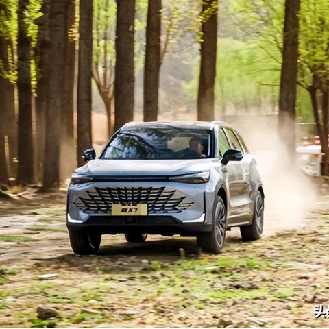 石家庄市魔饭青年的长尾关键词有什么