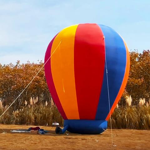 武汉市远城区包括哪些区？