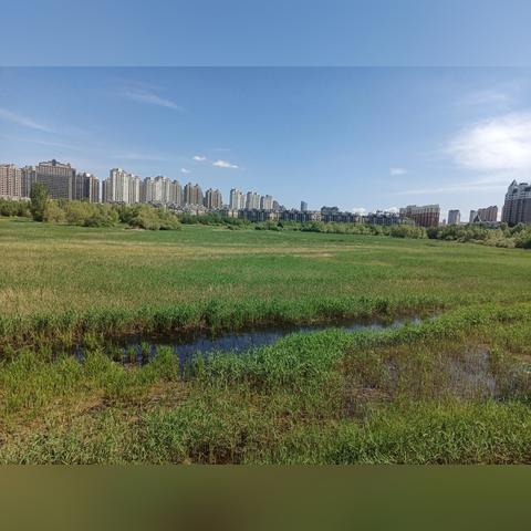 哈尔滨体育局领导班子的相关长尾关键词有哪些