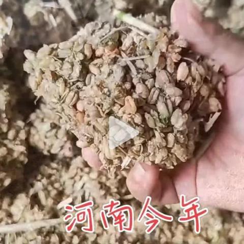 国家让河南种地的相关长尾关键词有哪些