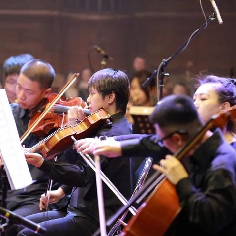 福建立式钢琴什么品牌好