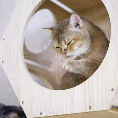 济南博物馆，展品有那些？