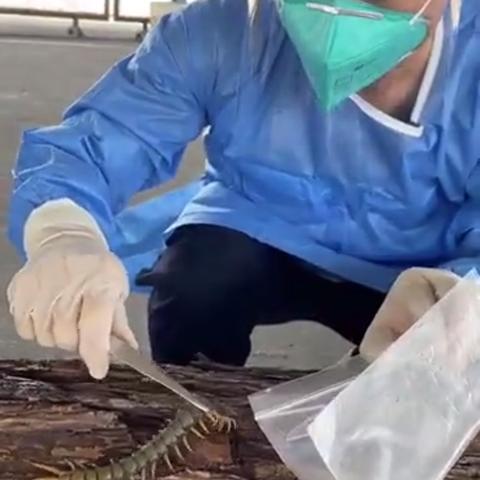 宁波北仑动物救助的相关长尾关键词有哪些