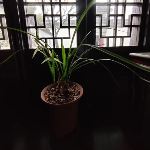 [苏州有宜家家居吗]相关长尾关键词有哪些