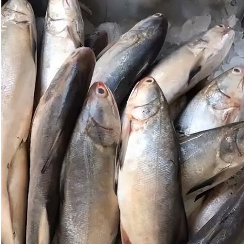 长沙特色鱼？