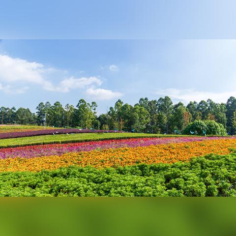 福建村镇园林预算的相关长尾关键词有哪些