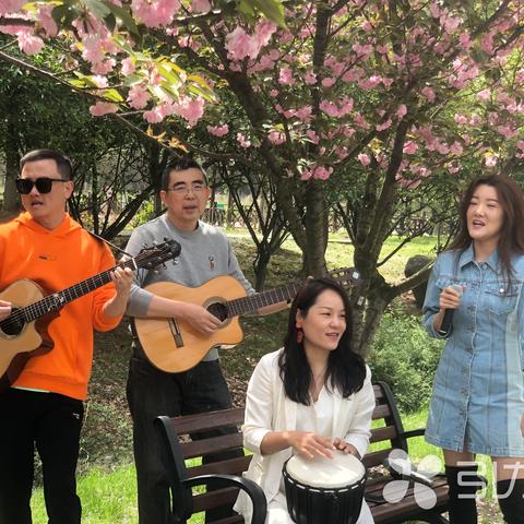 苏州市非洲象什么