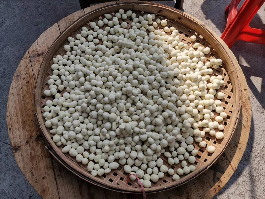 乡下美食叫什么（为什么没有菜叫豫菜）