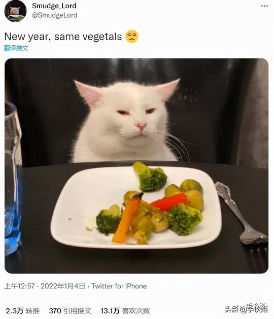 讨厌蔬菜的著名表情包猫猫，又一次因讨厌蔬菜火了