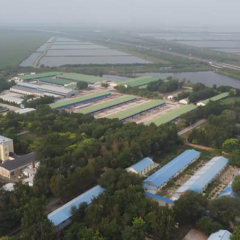 石家庄市奥群教育园区的长尾关键词有什么