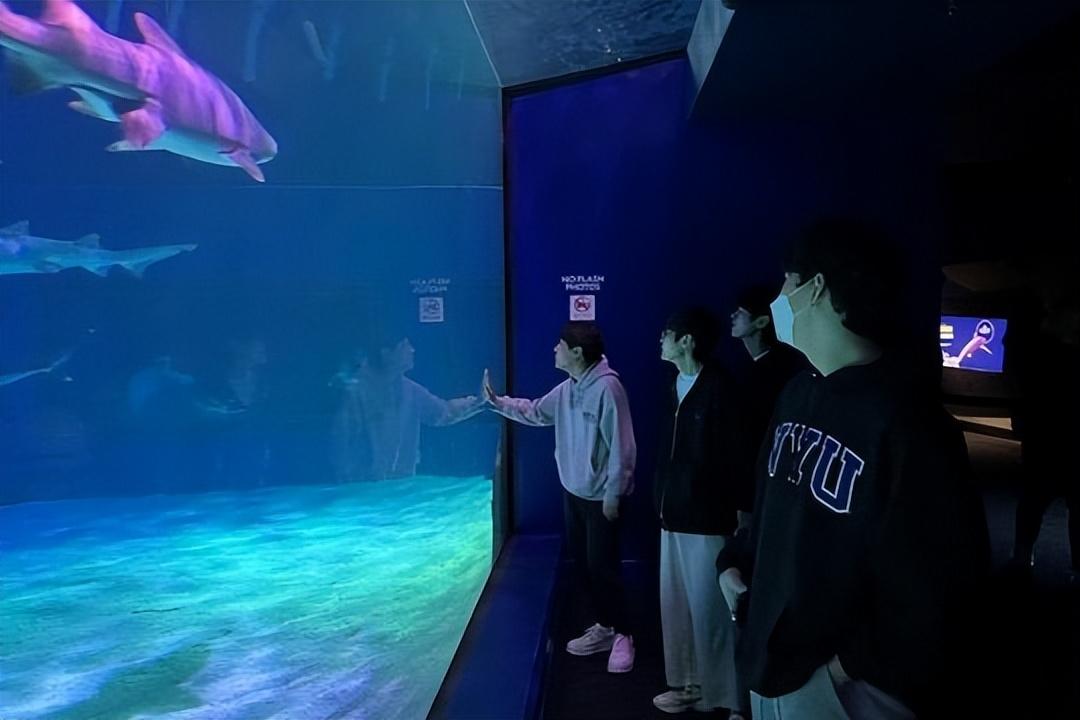 原神怎么用其他账号玩（原神怎么注销账号重新玩）