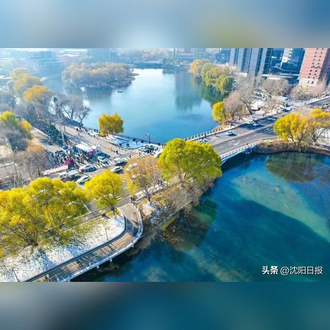 沈阳市城市更新局在哪个区