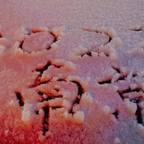 厦门早点去哪儿吃？