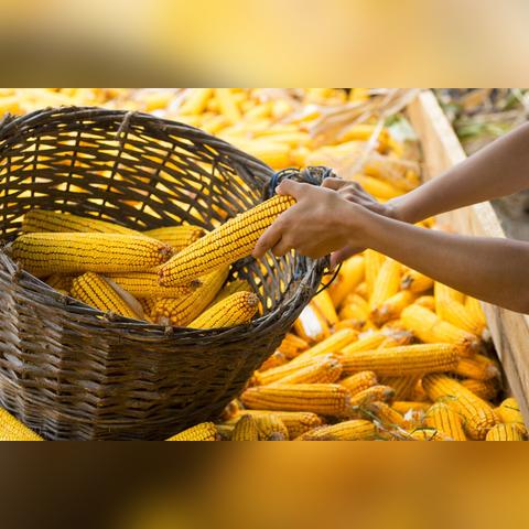 2025.11.9临沂今日最新油价查询