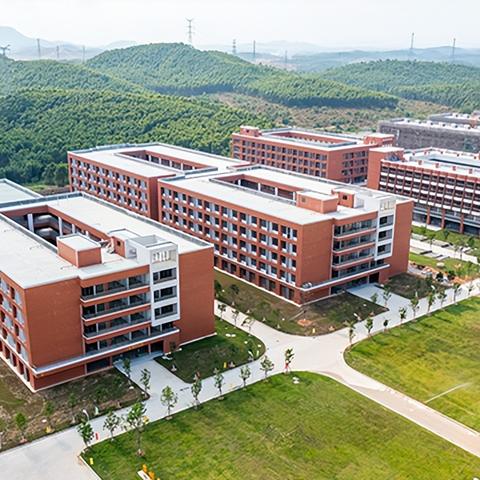 出广州市人才需要什么