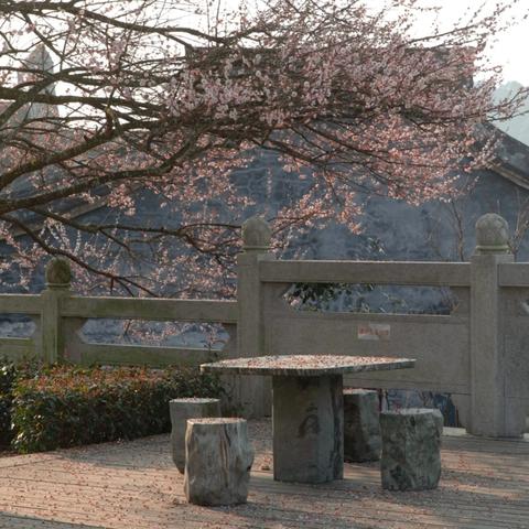 福建书房家居地毯怎么样
