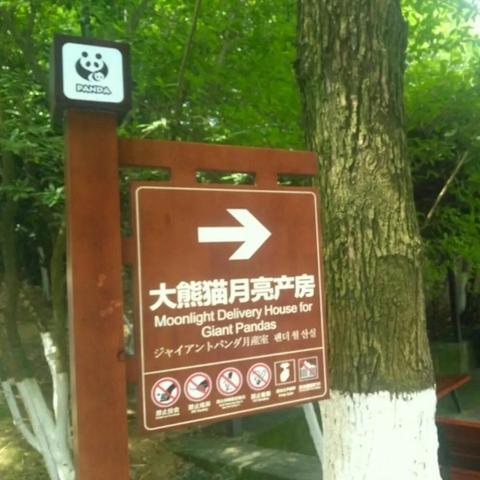 成都市内看月亮在哪里看