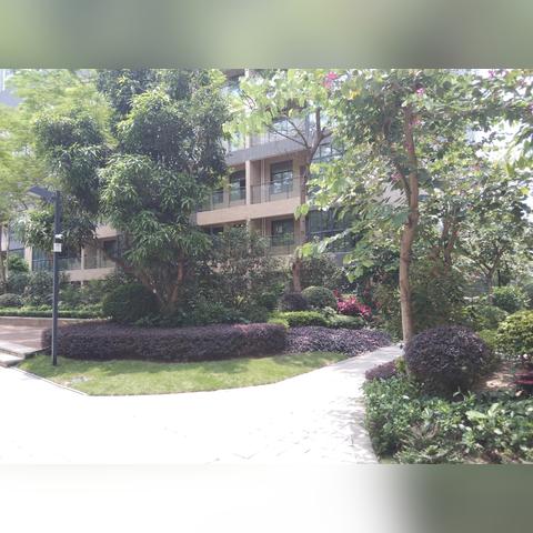 广州限购取消相关长尾关键词有哪些