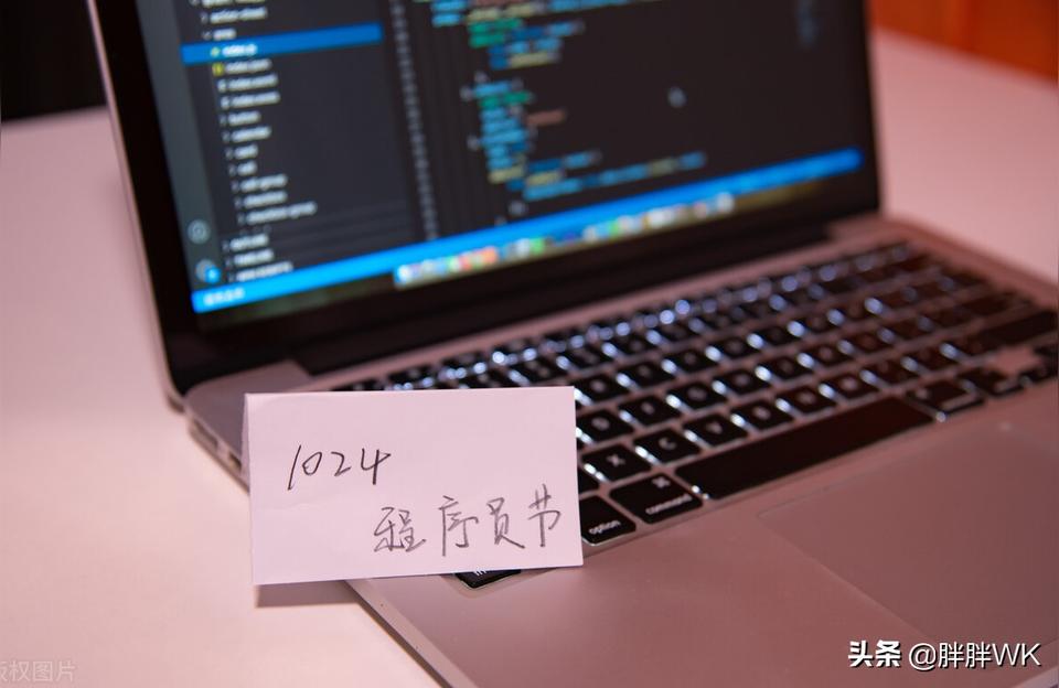 程序員抖音副業(yè)是什么職業(yè)副業(yè)是什么工作 運(yùn)營(yíng)百科