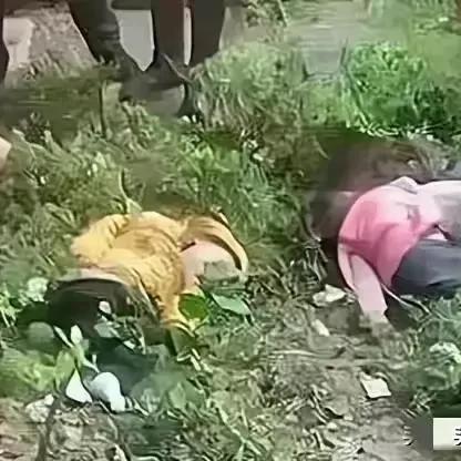 四川与重庆经济圈哪个好