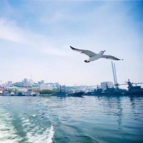 宁波远东进出口有限公司的长尾关键词有什么