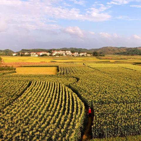 南宁电商产业园的相关长尾关键词有哪些